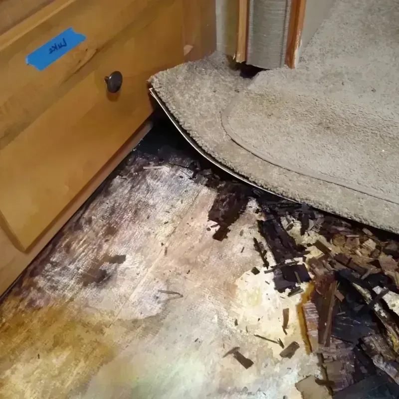 Wood Floor Water Damage in Maryland Heights, MO